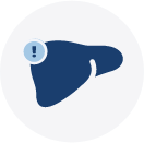 Liver Icon
