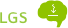 Brain LGS Icon